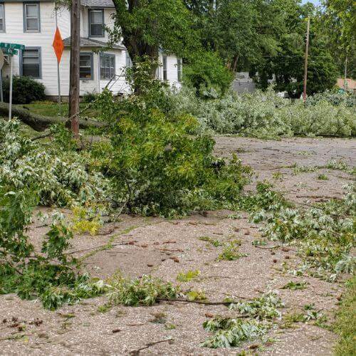 Storm Debris Cleanup JRS Junk Hauling
